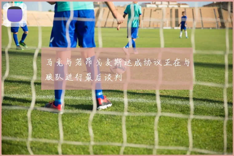 马竞与若昂戈麦斯达成协议正在与狼队进行最后谈判