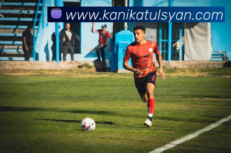 星空官方网站全站App